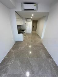 Amber Park (D15), Condominium #559557421